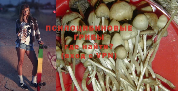 мяу мяу мука Богданович